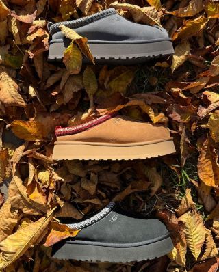 Chladná rána, teplý kafe a měkké UGGs na nohou. Podzim je tu a s ním i oblíbené nazouváky UGG Tazz II Slippers 🍂. Dorazily...